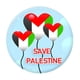 thumbnail image 1 of Broche Palestina Metal para Ropa Bolsos Camisa Mochila, 1 of 9