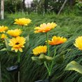 thumbnail image 4 of Lámpara solar de simulación de girasol, lámpara solar para césped, lámpara de enchufe impermeable para exteriores, lámpara decorativa para jardín, 4 of 4