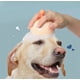 thumbnail image 5 of Masajeador de cabeza, cepillo de champú para masaje del cuero cabelludo, peine de silicona suave para champú de relajación de la cabeza, exfolia y elimina la piel muerta, champú para el cabello, cepillo de champú masajeador, 2 piezas (verde + naranja) brillar Electrónica, 5 of 5