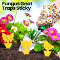 thumbnail image 6 of QARUN 200 Sheets Fruit Fly Sticky Traps for Fruit Fly Gnat Trap for House Indoors Sticky Traps Catcher for Gnats Fungus Gnats Mosquito Catcher for Kitchen Outdoor Plants(Yellow), 6 of 6