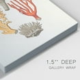 thumbnail image 3 of Knorr Shells & Coral IV Premium Gallery Wrapped Canvas - Ready to Hang, 3 of 9