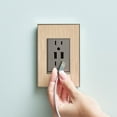 thumbnail image 3 of Legrand adorne Dual-USB Multi-Outlet in Magnesium Finish with Matching Wall Plate, 3 of 3