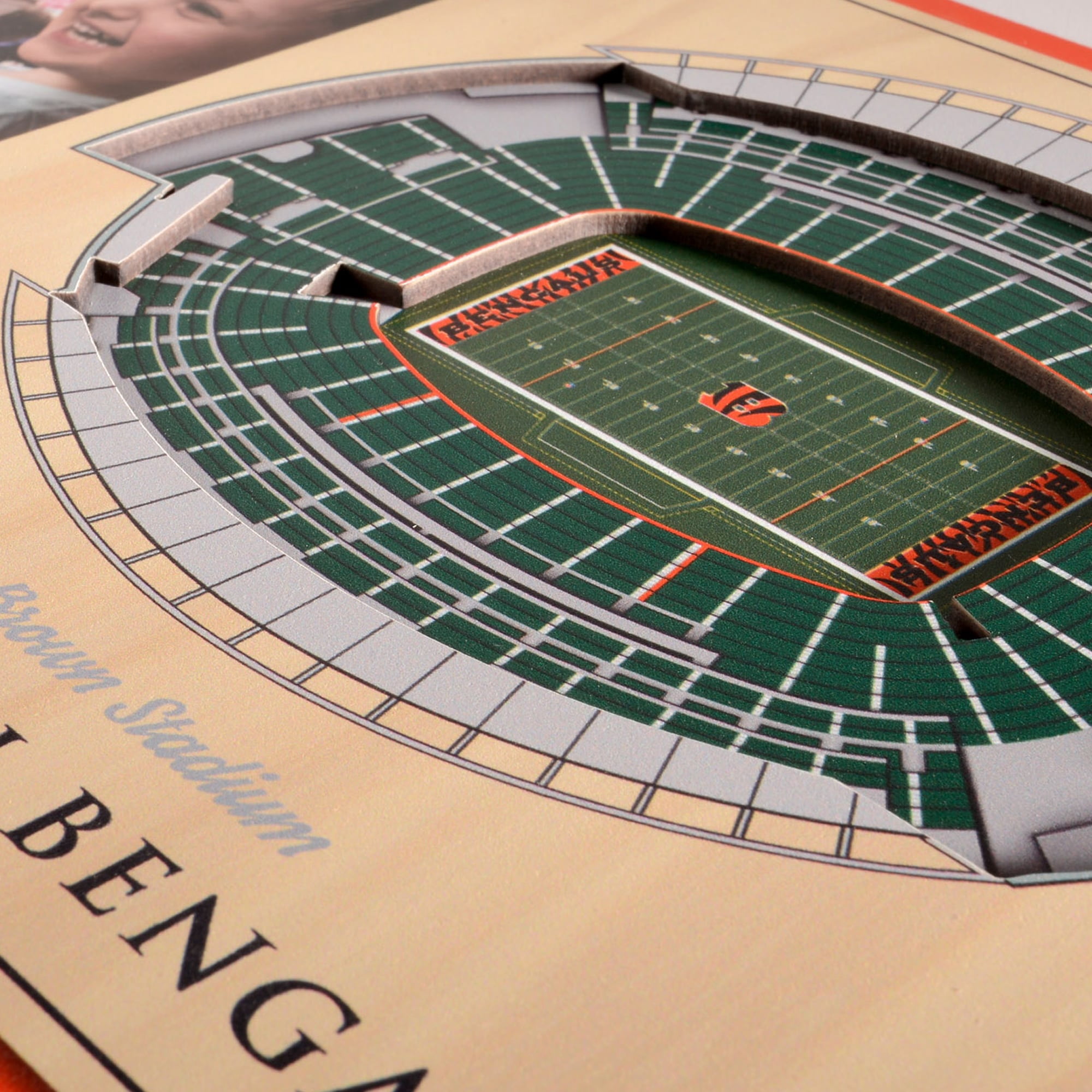 IDNA Cincinnati Bengals 3D StadiumViews Picture Frame