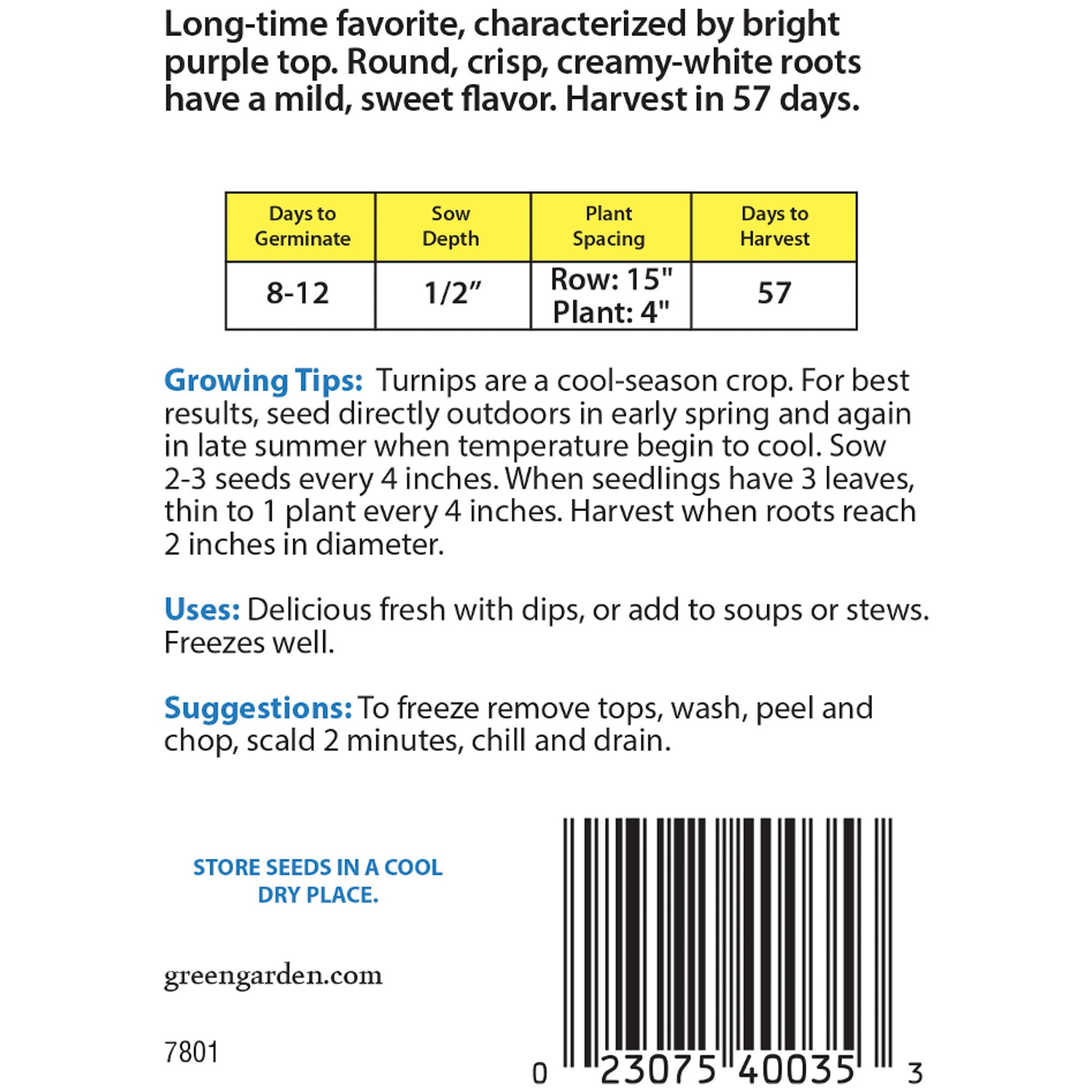 American Seed Turnip Purple Top White Seeds Annual Vegetables Full Sun