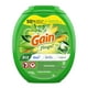 thumbnail image 2 of Detergente para ropa Gain Flings 3 en 1 Oxi Boost 102 paquetes, 2 of 9