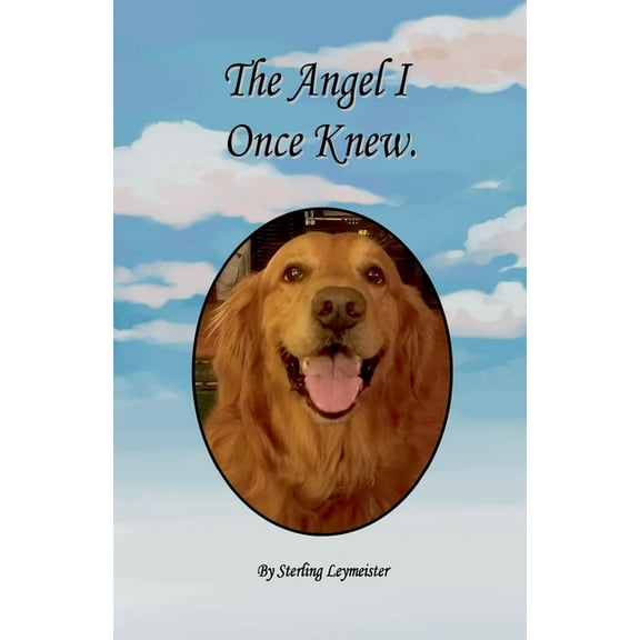 The Angel I Once Knew, (Paperback)