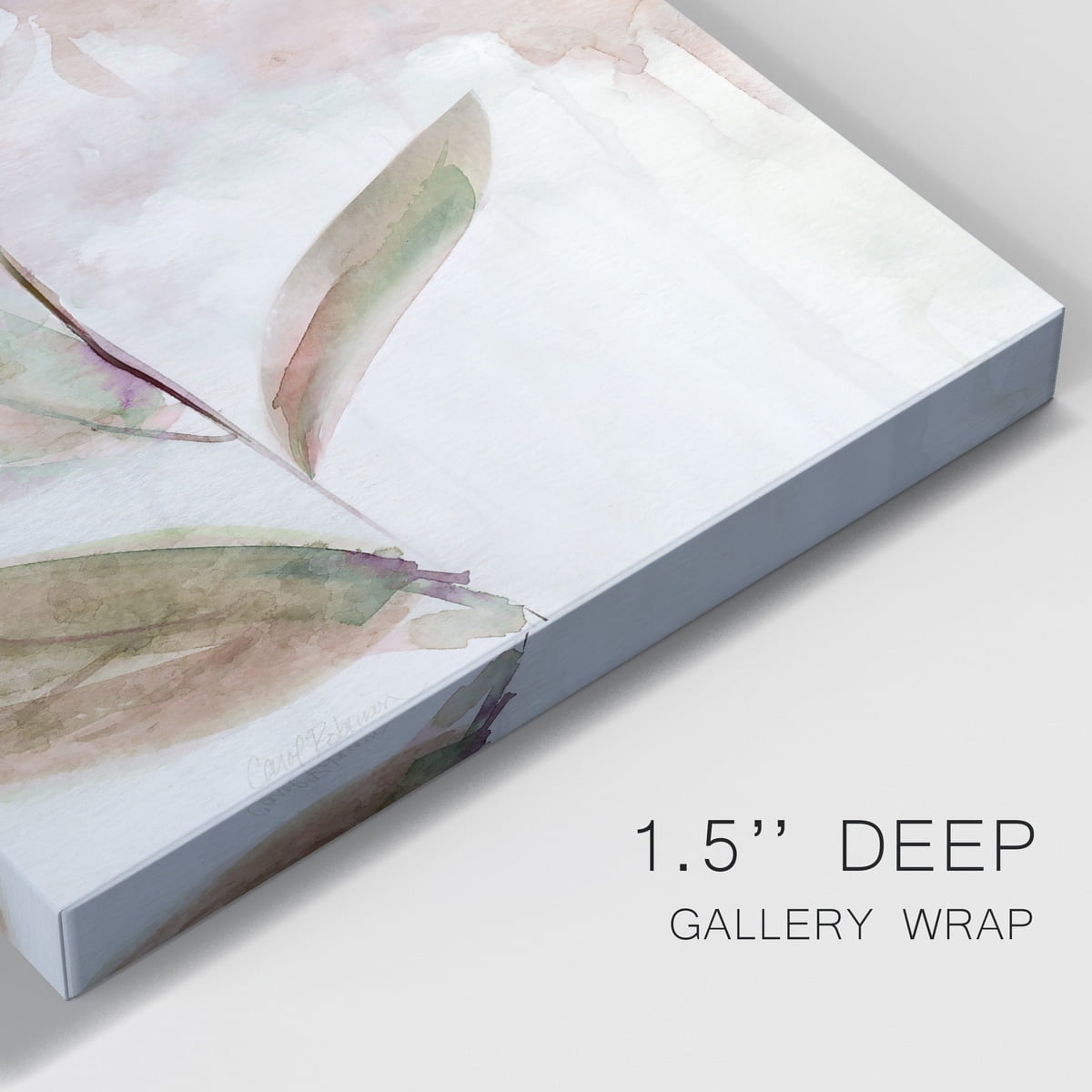 Summer Bloom I Premium Gallery Wrapped Canvas - Ready to Hang - 32 x 48