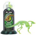 thumbnail image 1 of 30133-PARA - GLOW IN DARK-PARASAUROLOPHUS, 1 of 1