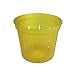 thumbnail image 2 of 4" Slotted Clear Orchid Pots - 3 Pack (Yellow Topaz), 2 of 4