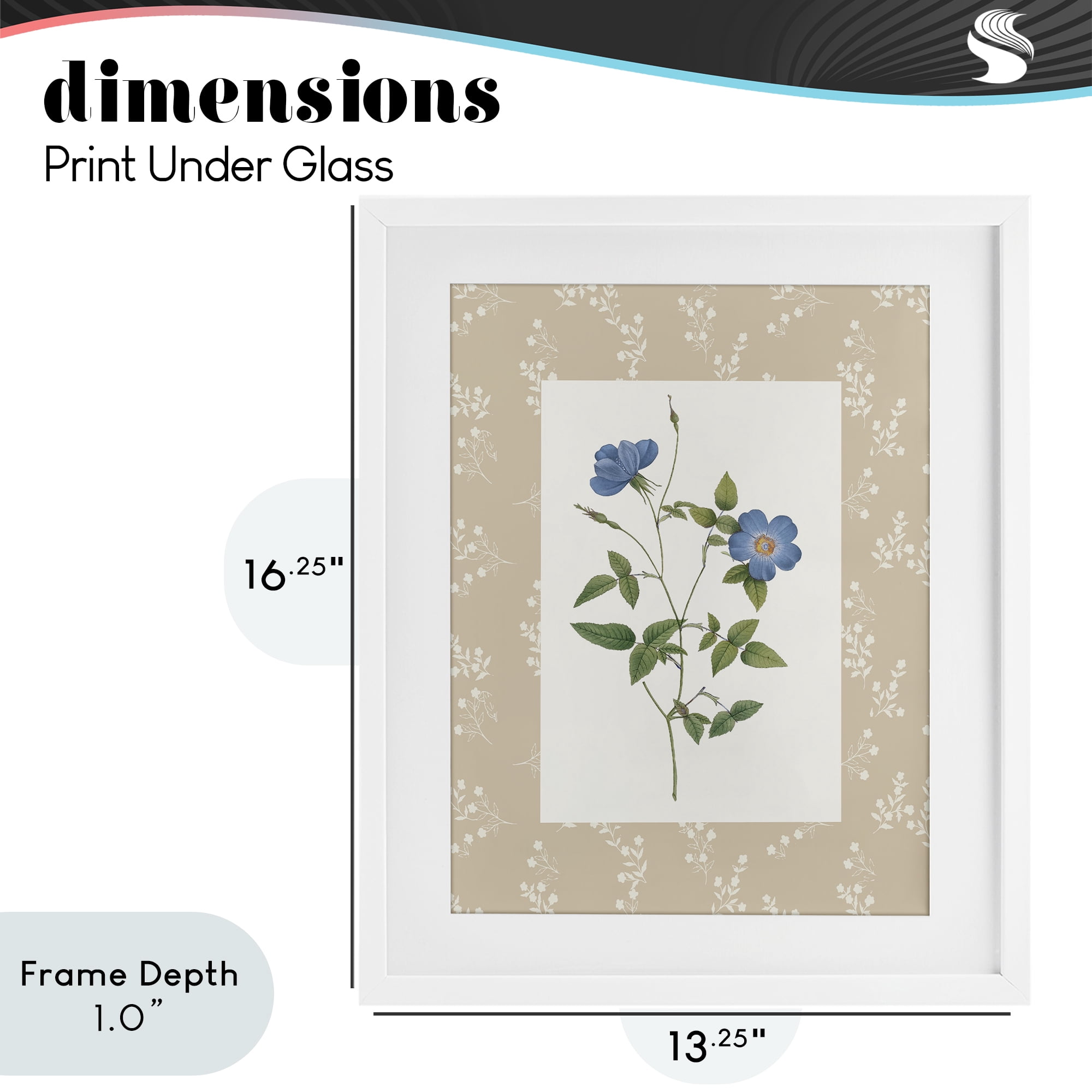 Stupell Industries Vintage Botanical Plate White Framed Print Under Glass, design by Val Rhodes