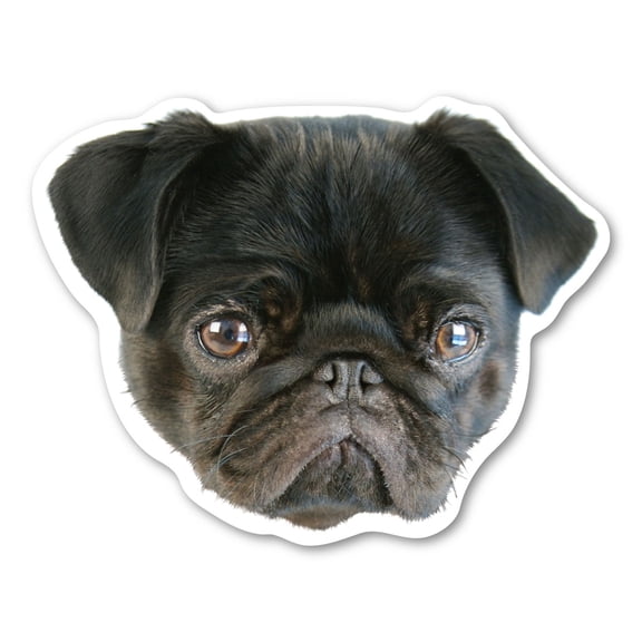(Black) Pug Dog Magnet