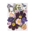 thumbnail image 4 of Flores secas naturales Billuyoard decorativas en relieve para tarjetas de boda, 4 of 6