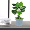 thumbnail image 3 of 15 Pcs Plastic Octagonal Flower Pot Indoor Plants Cute Planters, 3 of 6