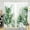 Green-4, variant on Black and White Striped Window Curtain Boys Mens Teen Kids Modern Minimalist Simple Aesthetic Art Cool 42" W x 63" L Curtains Set for Living Room Bedroom Bathroom 2 Panels Rod Pocket Drapes
