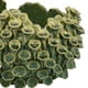 thumbnail image 4 of Benzara Nina - Cuenco decorativo de cerámica verde (28 cm), 4 of 5