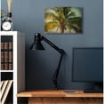 thumbnail image 2 of Stupell Industries Distressed Tropical Summer Palm Tree Frond Photograph Designed by Ashley Calhoun, 2 of 6