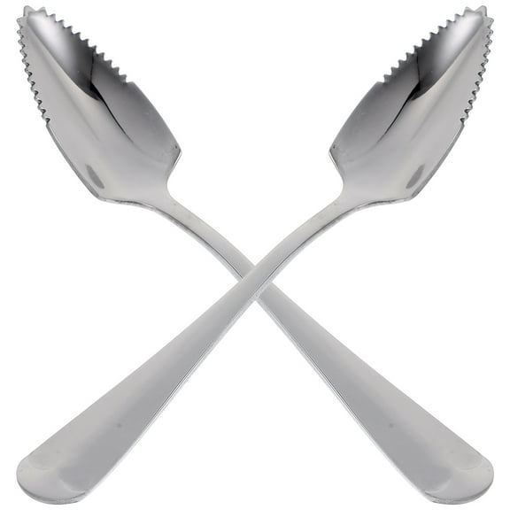TABLZONE 2Pcs Mirror Polished Stainless Steel Fruit Spoons with Serrated Edges
