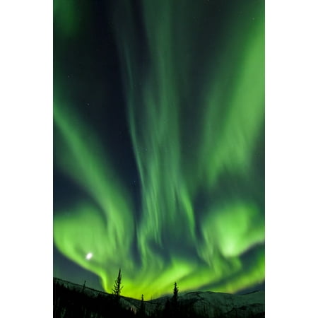 The bright neon green aurora and moon dancing like a flame over the boreal forest Chena River State Recreation Area Fairbanks Interior Alaska winter Canvas Art - Sunny Awazuhara- Reed Design Pics (24