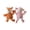 Orange&Pink, variant on PetLike 2-Pack Squeaky Plush Dog Toys, Raccoon & Fox Interactive Chew Toys for Small & Medium Breeds, Durable Tug & Fetch Toys