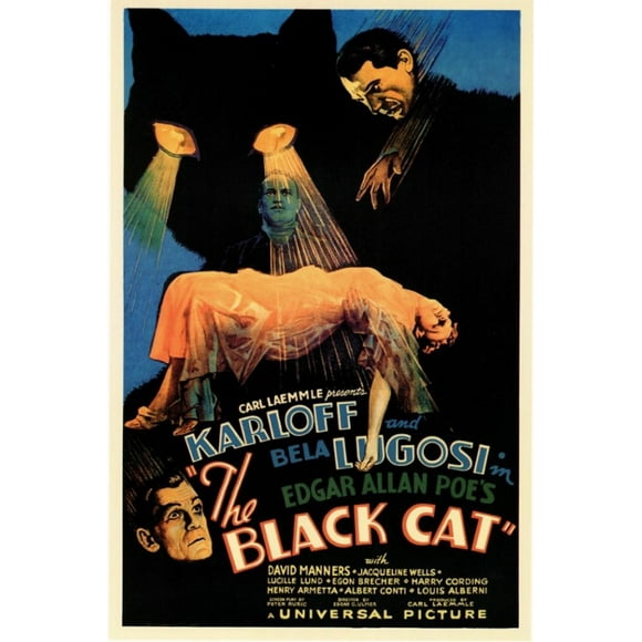 The Black Cat Movie Poster (11 x 17)