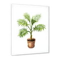 thumbnail image 2 of Designart 'Palm Plant In Clay Flowerpot' Traditional Framed Art Print, 2 of 4