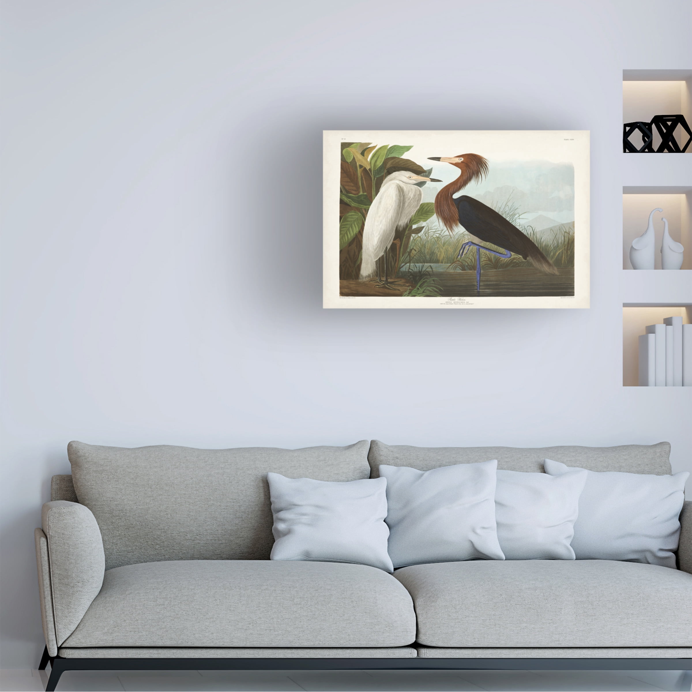 John James Audubon 'Purple Heron' Canvas Art