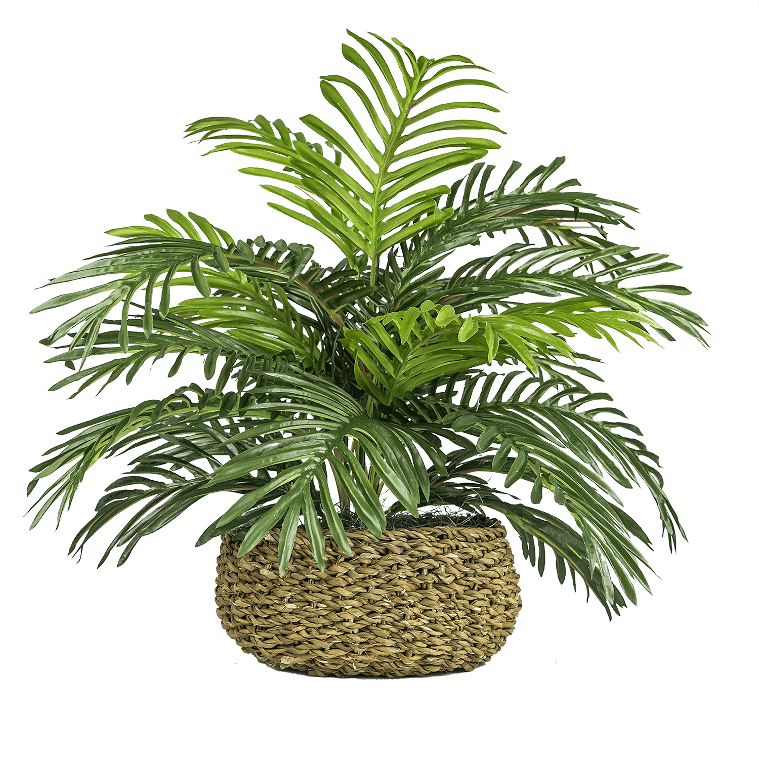 Artificial Plant, 14" Artificial Phoenix Palm in Low Round Handwoven Basket by LCG Florals, Faux Designer Fake Indoor Tabletop Plant for Living Room, Office, and Home Décor