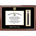thumbnail image 1 of Campus Image IL974PMHGT DePaul University Tassel Box and Diploma Frame, 1 of 1