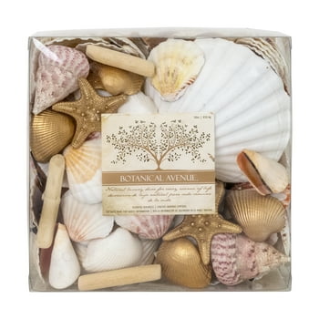 Botanical Avenue Decorative Vase Filler with Natural Seashells and Gold Accent Pieces