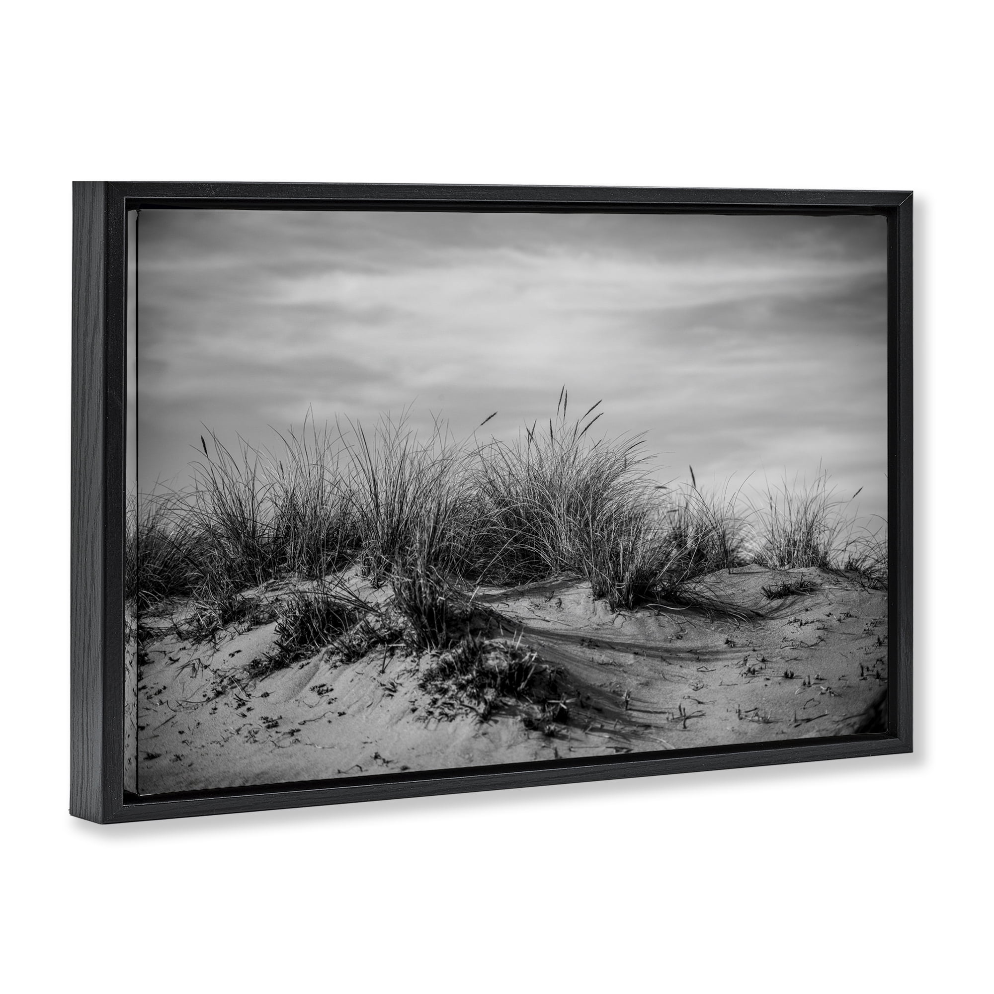 Stupell Industries Point Reyes Beach Dunes Landscape & Nature Photography Black Floater Framed Canvas Art Print Wall Art, 25 x 17