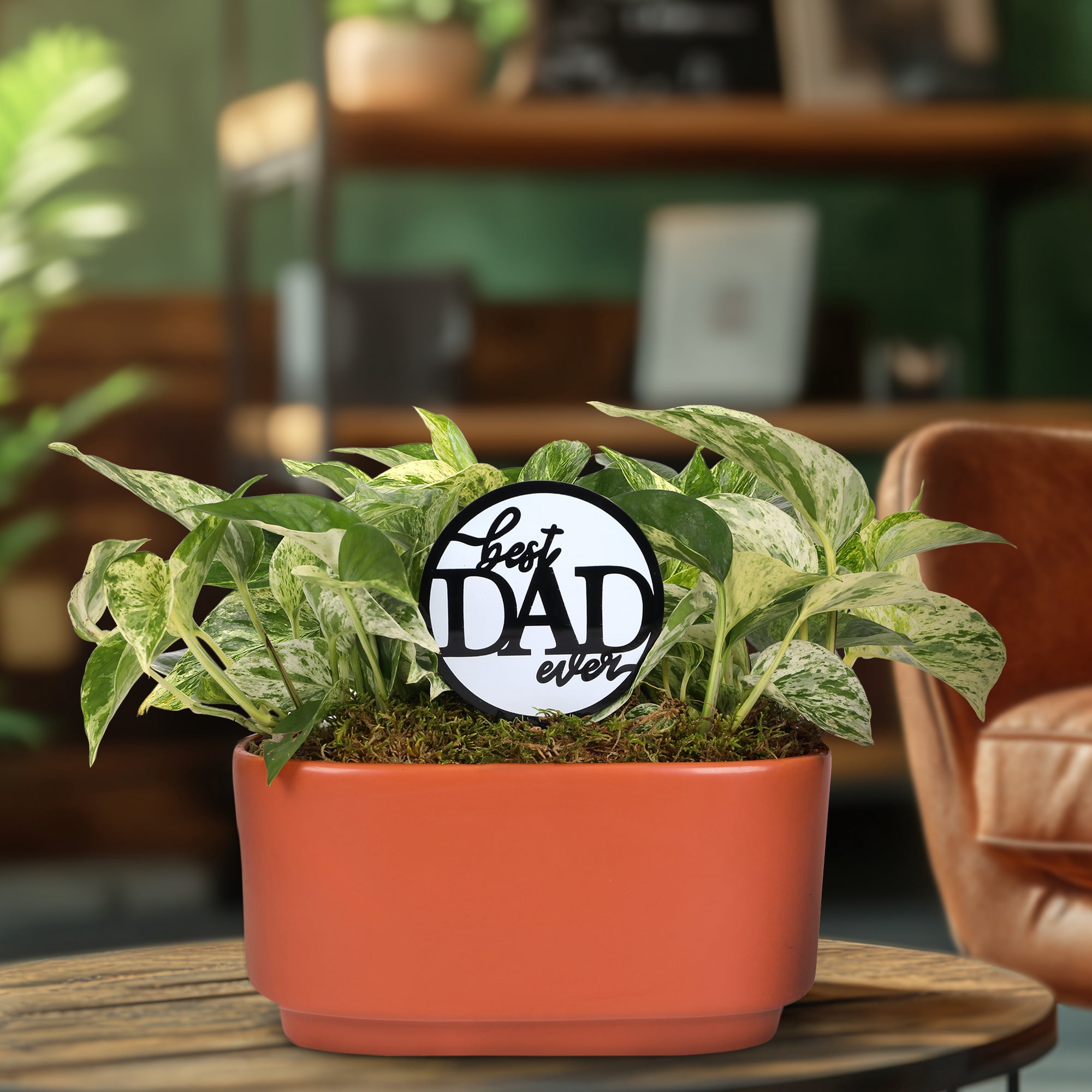 Green Circle Growers 10in Pothos Duo in Ceramic Pot – Live Indoor Plant - Best Dad Ever Pick