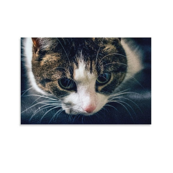 Brown Tabby Cat Poster Decorative Painting Canvas Wall Art Living Room Posters Bedroom Painting,Unframe-style,20x30inch(50x75cm)
