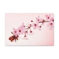 thumbnail image 3 of Single Cherry Blossom Forest Floral Nature Photography Canvas Wall Art for Home Decor Ready-to-Hang, 3 of 18