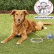 thumbnail image 3 of Cadena de perro resistente para patio trasero Rotación de 360 grados shamjiam Estaca de patio de cachorros, 3 of 9