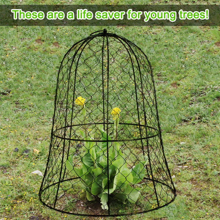 How to Use Cloches and Critter Cages to Protect Young Plants
