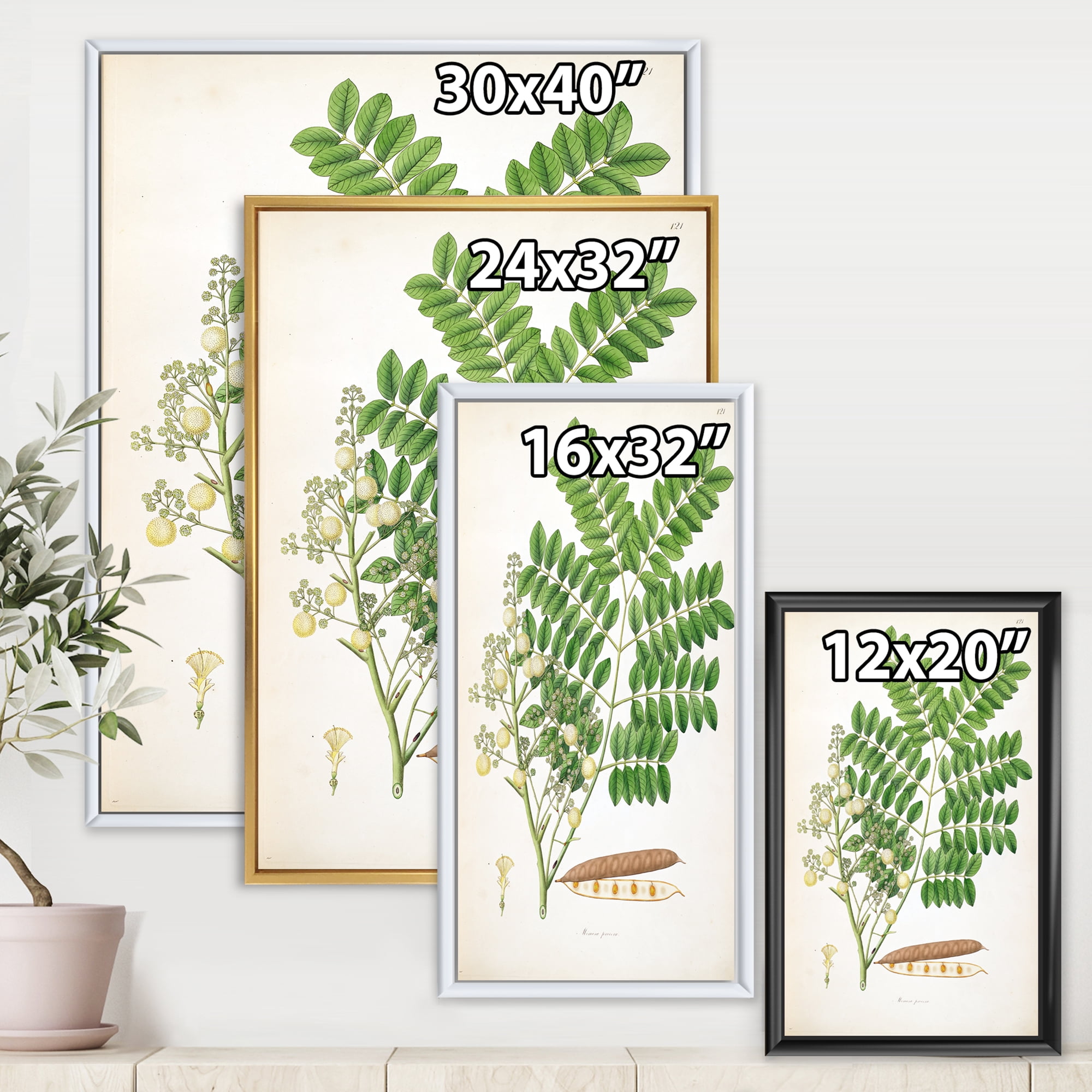 Designart 'Ancient Botanicals VII' Farmhouse Framed Canvas Wall Art Print