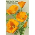 thumbnail image 4 of Bodega Bay, California, Poppy (1000 Piece Puzzle, Size 19x27, Challenging Jigsaw Puzzle for Adults and Family, Made in USA), 4 of 4