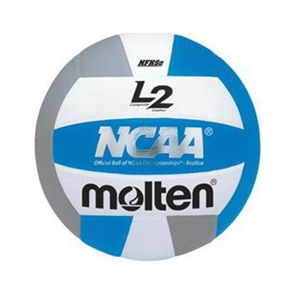 Molten 1455054 Premium Composite L2 Volleyball, Pink & White