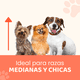 thumbnail image 3 of Casa para Perros Medianos, Chicos y Pequeños Plástico Resistente para Exterior e Interior, Diseño Térmico con Ventilación, Puerta Metálica Segura, Plegable y Compacta, 75x53x66 cm, Color Rojo, 3 of 8