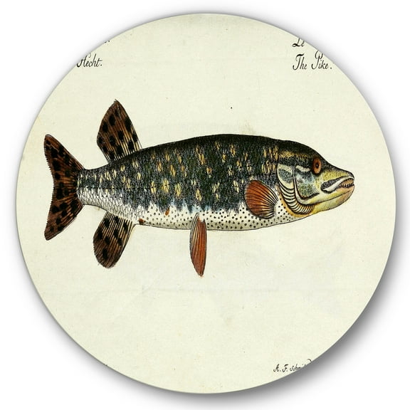 Designart 'Portrait Of A Green Fish On Beige' Nautical & Coastal Circle Metal Wall Art 36x36 - Disc of 36