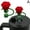 Red, variant on 9-Piece Silicone Straw Caps Dust-Proof Rose Design for 10mm Reusable Cups Multiple Colors