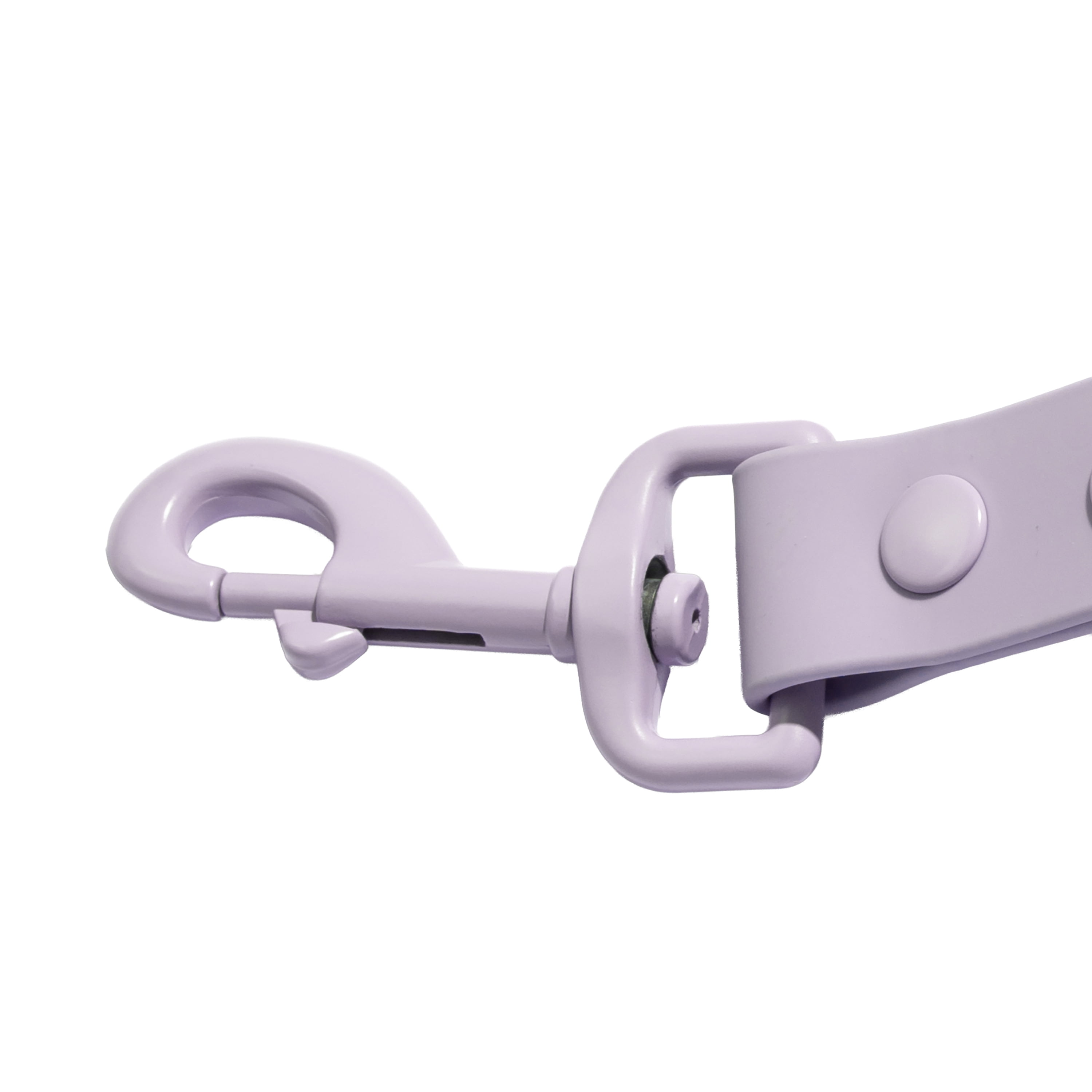 Vibrant Life 6' TPU Water Resistant Standard Dog Leash, Lavender