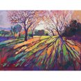 thumbnail image 1 of Taladro diamante pintura (DE0146) 5D DIY completo bosque punto de cruz bordado mosaico Kit 20X30cm FLhrweasw Nuevo, 1 of 1