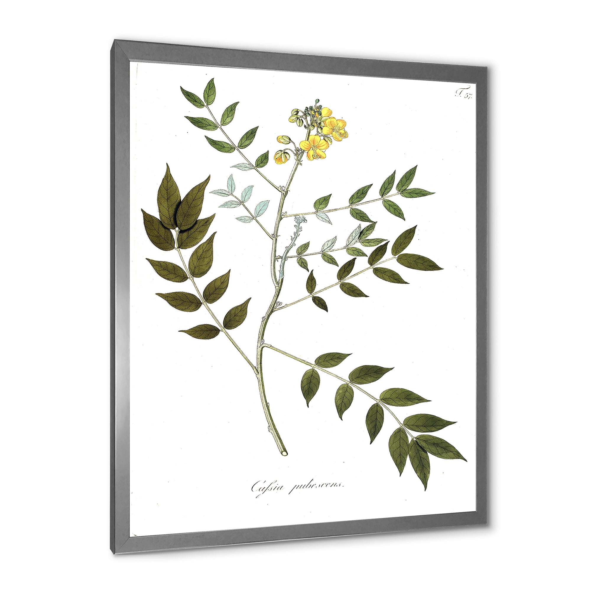 Designart 'Ancient Botanicals XVIII' Traditional Framed Art Print