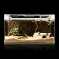 thumbnail image 2 of HLONK Reptile Hide Cave Artificial Birch Log Help Breeding for Snakes Leopard Gecko, 2 of 17