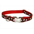 thumbnail image 1 of POLKA DOT-BRN-MULTI4-C Dot Chien Collier&44; Brun & Multi - Grand, 1 of 1