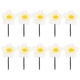 thumbnail image 1 of White Resin Flower Hair Clips for Decor Hawaiian Style Egg Flowers Set of 10pcs, 1 of 1