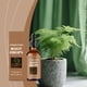 thumbnail image 5 of Lata de Agua para Plantas Solución Nutritiva Al Aire Libre para Jardinería en el Hogar Promoción Del Crecimiento de Plantas 100 Ml Plantas de Agua de Interior, 5 of 9