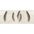 thumbnail image 3 of Blaustein, Alan 18x10 Black Modern Framed Museum Art Print Titled - Feather Panel - 3, 3 of 5