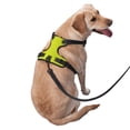 thumbnail image 2 of Balery Yellow Arnés para Perros Grandes Antitirones, Arnés con Correa para Gato, Arnés Tipo Chaleco para Perros Pequeños-Small, 2 of 6